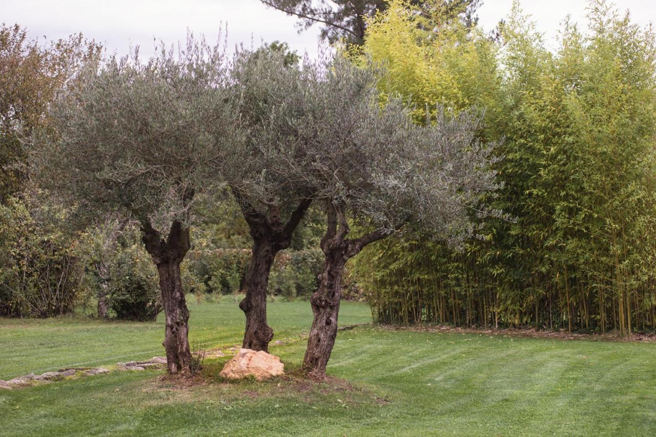 セラノーバ Jardines Pazo A Fabricaゲストハウス エクステリア 写真